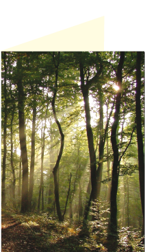 Weltliche Motive KL 140 x 104 mm