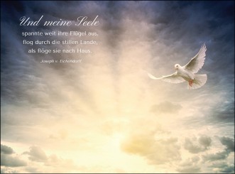 1004 Sterbebild Taube 
