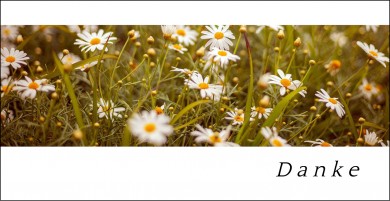 Trauerdanksagung "Blumenwiese" (100602) 