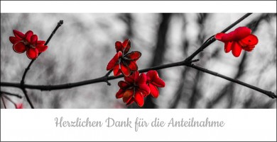 Trauerdanksagung "Blumenzweig" (100603) 