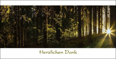 Trauerdanksagung "Wald im Lichtschimmer" (100607) 