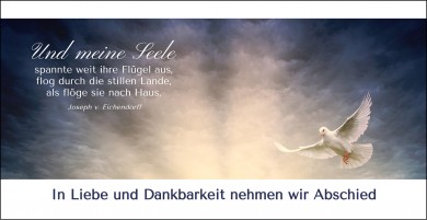 Trauerkarte "Taube" (100608) 