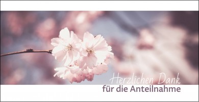 Trauerkarte "Kirschblüte" (100614) 