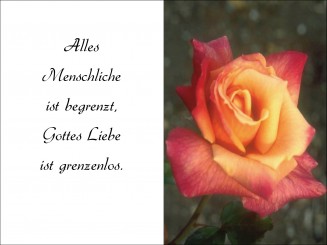 1001 Sterbebild Rose 
