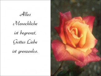 101 Sterbebild Rose 