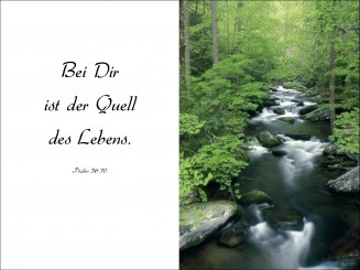 1003 Sterbebild Quell des Lebens 