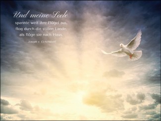 104 Sterbebild Taube 