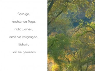 117 Sterbebild Herbstwald 