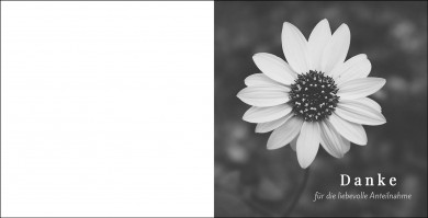 1237 Trauerkarte Quadrat 4-seitig, ohne Kuvert 