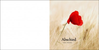 1238 Trauerkarte Quadrat 4-seitig, ohne Kuvert 