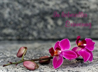 132 Sterbebild Lilienzweig 