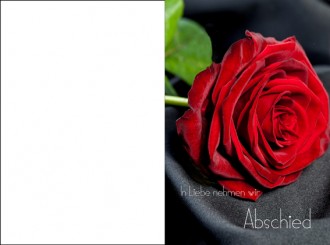 133 Sterbebild Rose auf schwarzem Hintergrund 