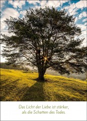 Gedenkkarte "Baum" (1369) 