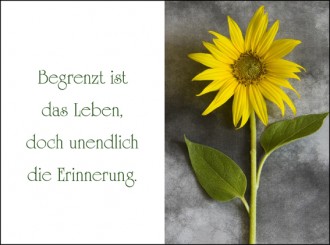 140 Sterbebild Sonnenblume 