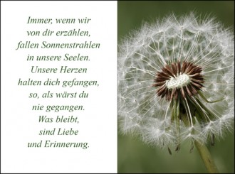 141 Sterbebild Pusteblume 