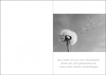Trauerkarte "Pusteblume in schwarz-weiß" (1498) 