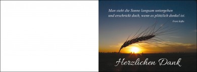 1511 Trauerkarte 4-seitig DIN A 6 Quer, ohne Kuvert 