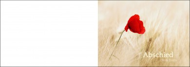 1569 Trauerkarte 4-seitig DIN A 6 Quer, ohne Kuvert 