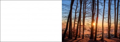 1573 Trauerkarte 4-seitig DIN A 6 Quer, ohne Kuvert 