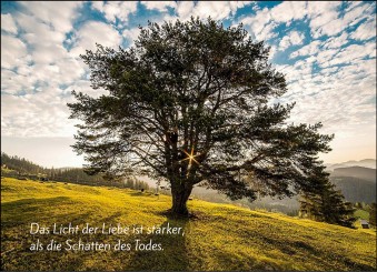 Trauerkarte "Baum" (1666) 