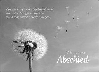 Trauerkarte "Pusteblume in schwarz-weiß" (1667) 