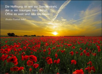 Trauerkarte "Mohnblumenfeld" (1668) 