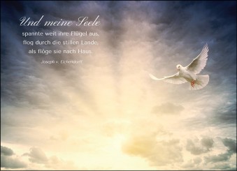 Trauerkarte "Taube" (1679) 