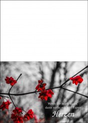 1770 Trauerkarte 4-seitig DIN A 6 nach oben, ohne Kuvert 