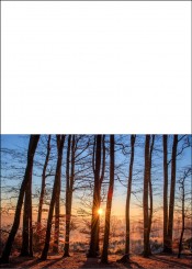 1771 Trauerkarte 4-seitig DIN A 6 nach oben, ohne Kuvert 