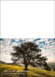 1773 Trauerkarte 4-seitig DIN A 6 nach oben, ohne Kuvert 