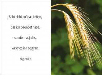 18005 Sterbebild Getreide 