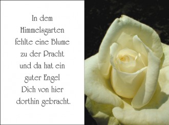 1807 Sterbebild Weiße Rosenblüte 