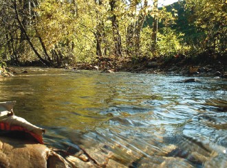 18011 Sterbebild Waldbach 