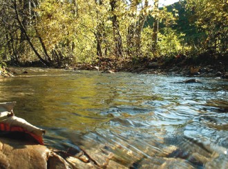 1811 Sterbebild Waldbach 