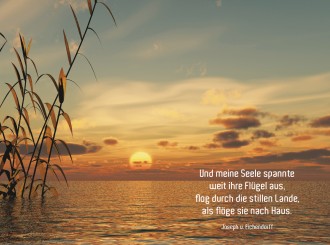 18025 Sterbebild Sonnenuntergang 