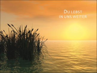 18033 Sterbebild Lichtermeer 