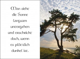 18034 Sterbebild Lebensbaum 