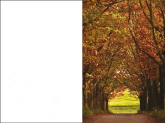 1835 Sterbebild Alleebäume ins Licht 