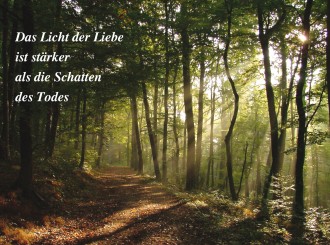 18036 Sterbebild Licht im Wald 