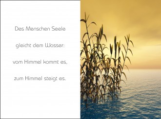 18037 Sterbebild Wasser 