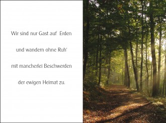 1858 Sterbebild Licht im Wald 