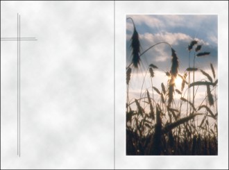 1864 Sterbebild Ährenfeld 