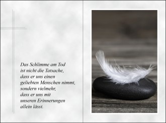 18073 Sterbebild Engelsfeder 