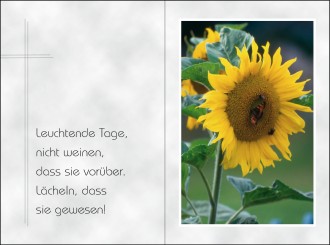 18076 Sterbebild Sonnenblume 