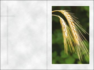 1878 Sterbebild Goldene Ähre 