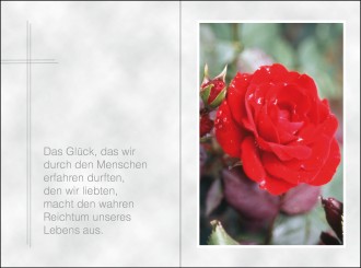 18079 Sterbebild Rose im Grünen 