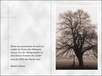 18083 Sterbebild Baum in Nebellandschaft 