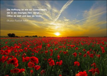 Trauerkarte "Mohnblumenfeld" (1906) 