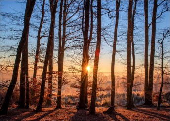 Trauerkarte "Sonnenuntergang Wald" (1908) 