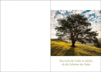 200106 Trauerkarte 4-seitig DIN A 5 Hoch, ohne Kuvert 